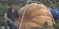 Charleston man continues to grow bigger and bigger pumpkins