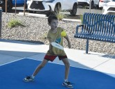 Chandler partners with utility for assessments of park water use