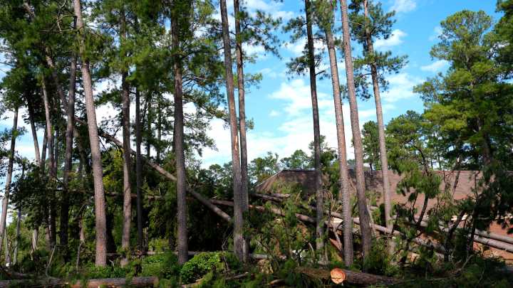 SEE IT: Before-and-after photos from Hurricane Helene a year later