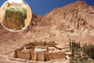 Plans for mega-luxe resort at Mount Sinai spark fury as bulldozers invade