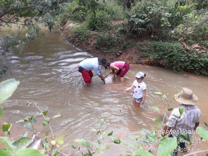 Sellada bocatoma ilegal en el río Muese en Paz de Ariporo