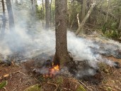 Unattended campfire in Shandaken grew, required bucket drops, state DEC says