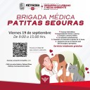 Brigada médica “Patitas Seguras”