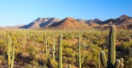 See Arizona natural wonders on Free National Park Day Sept. 27