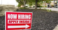 First jobs report since Trump fired agency head shows hiring slowdown
