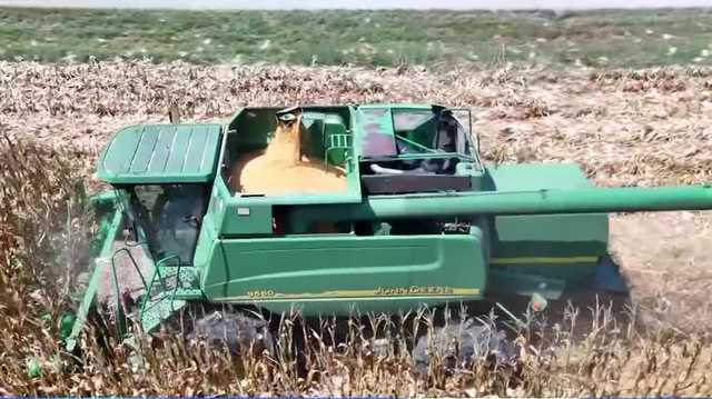 Flash drought causing trouble for Alabama soybean farmers