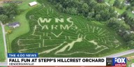 Fall fun at Stepp's Hillcrest Orchard in Hendersonville