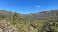 Woman camping near Mogollon Rim falls to her death