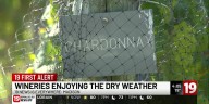 Wineries enjoying the dry weather