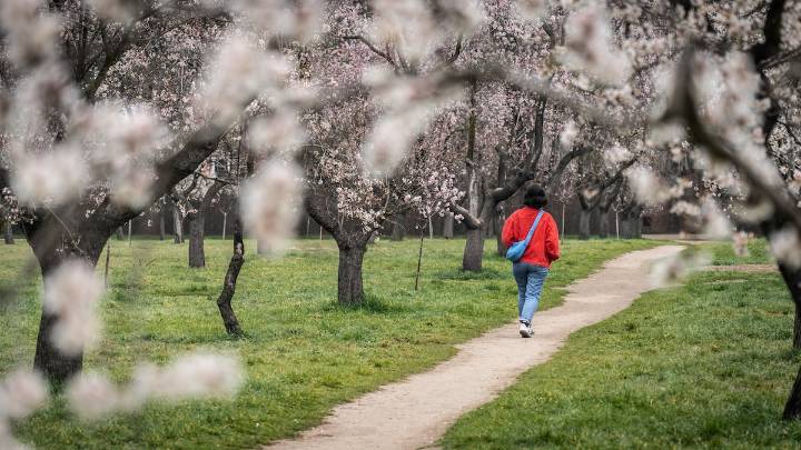 La Comunidad de Madrid declara la Quinta de los Molinos Bien de Interés Cultural