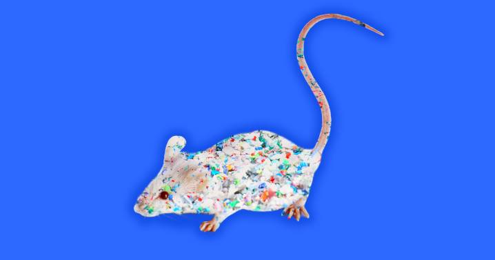 Lab Mice Exposed to Microplastics Show Signs of Dementia