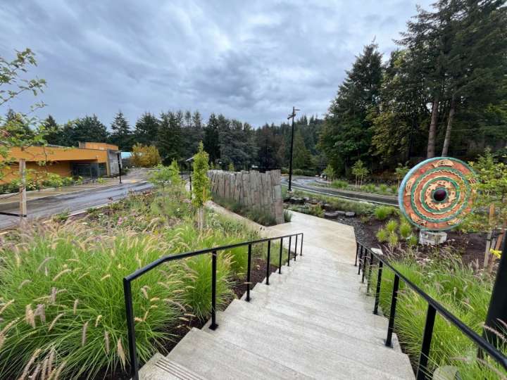 Bicyclist crashes in Washington Park, dies