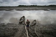 Well-preserved Amazon rainforest on Indigenous lands can protect people from diseases, study finds