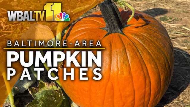 MAP: Baltimore-area pumpkin patches, corn mazes
