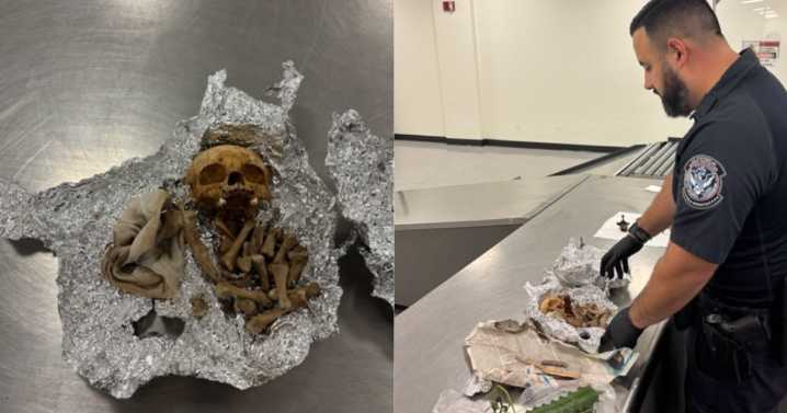 Officials find human skull in luggage at Tampa airport, traveler claimed it was for 'ritual'