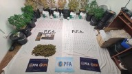 Rosario: Incautan más de 800 pastillas de éxtasis en la previa de una fiesta electrónica