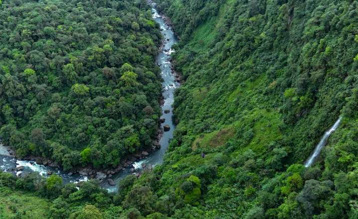 Latin America Is Deadliest Region For Environmental Activists