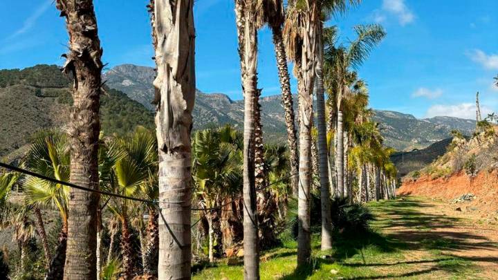 El parque temático de la naturaleza de Carrataca despega