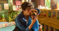 El perro callejero “caramelo” llega a Netflix y confirma su estatus de ícono en Brasil
