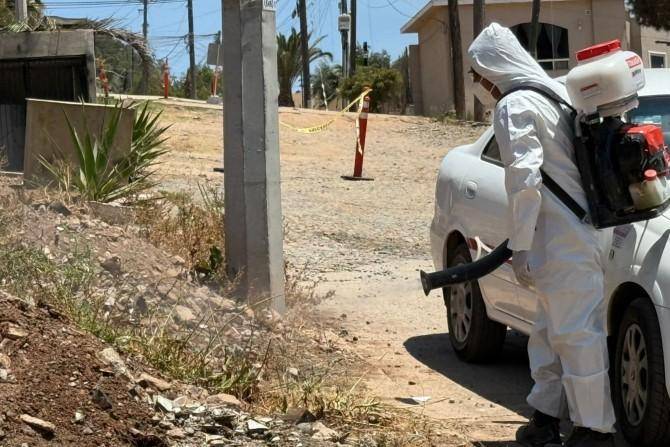 Mantienen campaña contra el mosco transmisor del Dengue