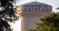 Finalist for Texas A&M University-Victoria president named