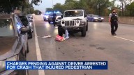 Driver in custody after pedestrian hit by car in 7400-block of South Lafayette Avenue in Greater Grand Crossing: Chicago police