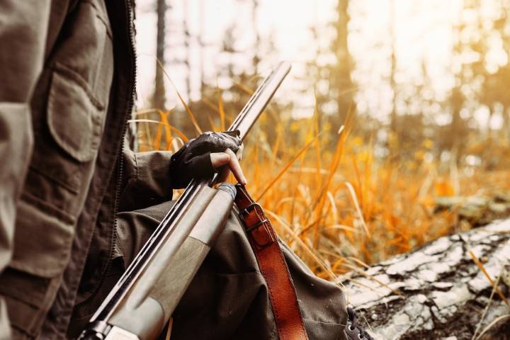 Guns, ammunition, some supplies available tax-free for Louisiana hunters this weekend