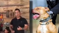Pitbull atacó a bebe de 2 años de edad por comerse una papa rellena que tenía en sus manos