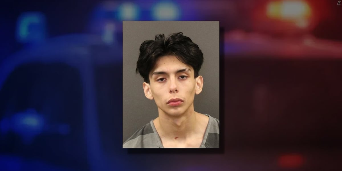 Grand Island teen facing charges after vehicles, home damaged by gunfire