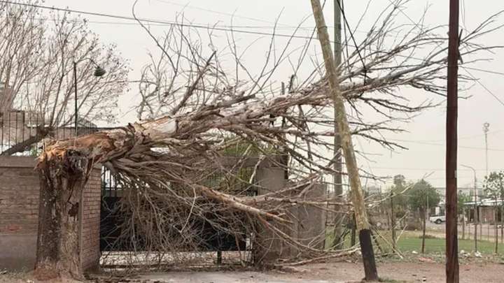 Una mujer muerta en Mendoza por un temporal