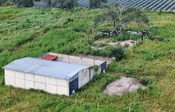 Reclutados por el cartel en el rancho La Vega: “Me ofrecieron trabajo por Facebook, pero luego me dijeron que sería sicario o me descuartizaban”
