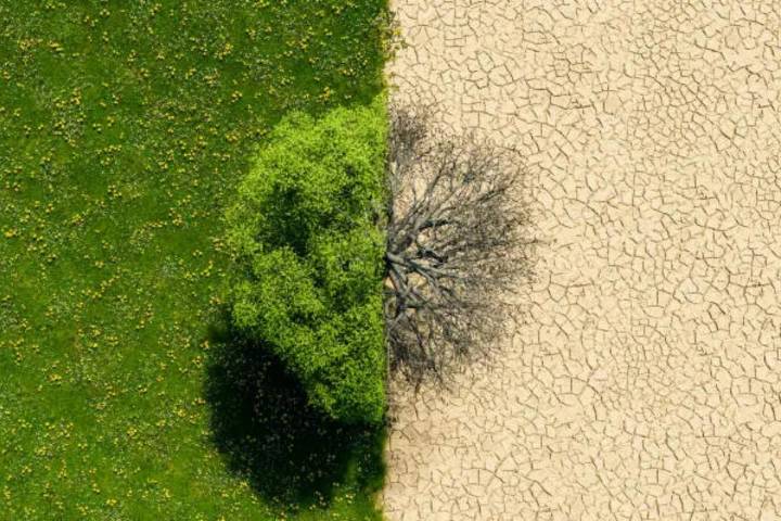 Washington debunks federal climate report with new data