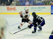 Victoria Royals looking to rebound from off
