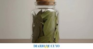 Dónde hay que poner un frasco con hojas de laurel para atraer el dinero en septiembre