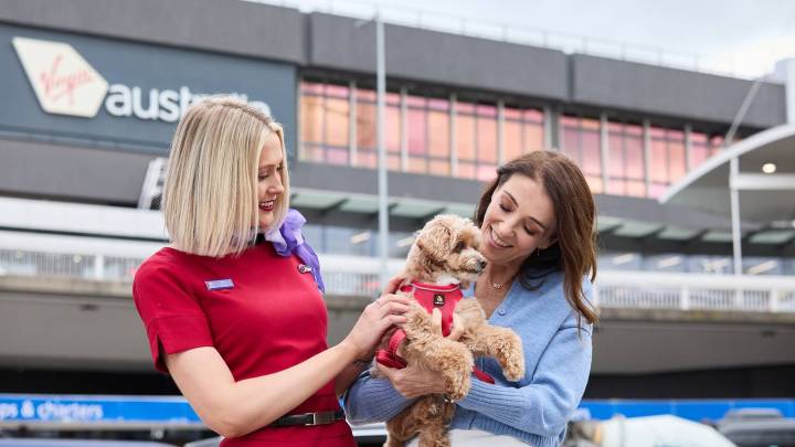 Virgin Australia Becomes 1st Airline Down Under To Welcome Pets In Cabin