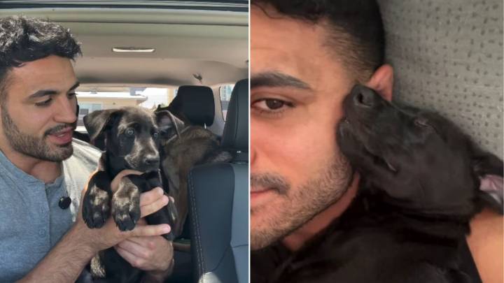 Florida Man Takes In Shelter Puppy For A Week And Warms Hearts With An Instant Connection