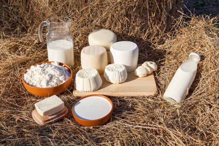 Leche de cabra: beneficios zootécnicos y nutricionales para la salud