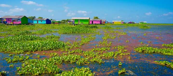 Procuraduría urge a MinAmbiente atender emergencia en la Ciénaga Grande