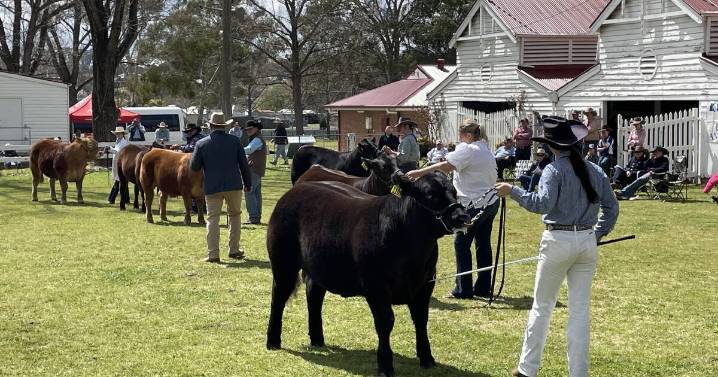 Junior steer claims carcase win at Led Beef Extravaganza 2025