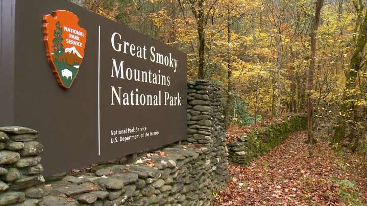 Around 12.2 million visitors stopped by Great Smoky Mountains in 2024