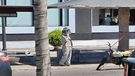 Abejas invaden restaurante y atacan comensales