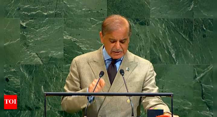 'Man of peace': Pak PM Sharif turns Trump's spokesperson at UN; parrots his ceasefire claim
