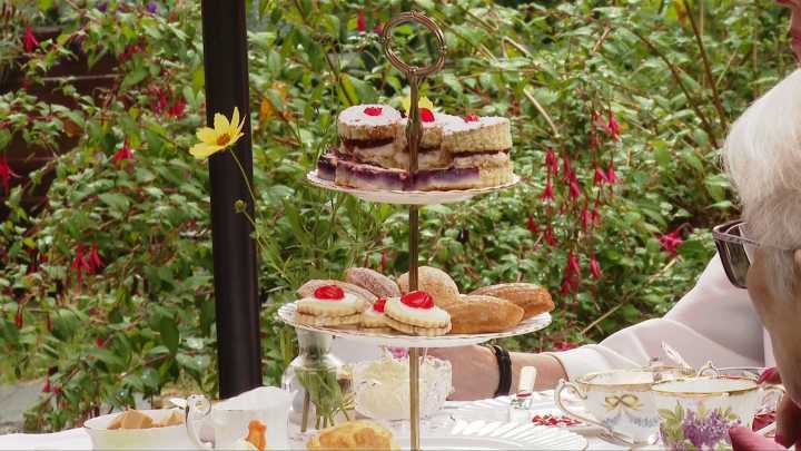 Saanich cancer survivor raises thousands for ovarian cancer research with tea garden fundraisers