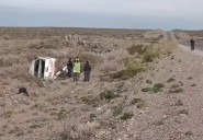 Volcó camioneta petrolera cerca de Rincón de los Sauces: cuatro heridos
