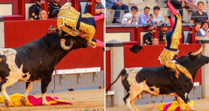 Famoso ’matador’ quedó grave tras recibir brutal corneada de toro en España: herida de 30 centímetros