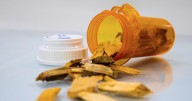 UMaine reseach could help lower cost of prescription drugs
