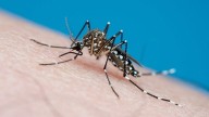 3 people hospitalized for West Nile virus in Fayette County