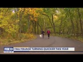 Fall leaves to change sooner this year in the US: Here’s Washington’s timeline