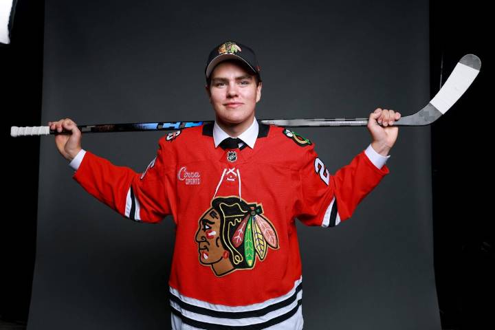 The development plan for Blackhawks prospect Anton Frondell's upcoming season in Sweden