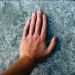 The Left-Hander Advantage in Sports: New Scientific Insights
